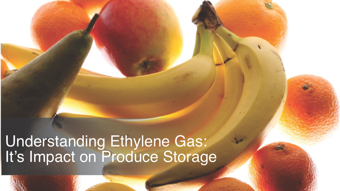 Understanding Ethylene Gas and Its Impact on Produce Storage.png